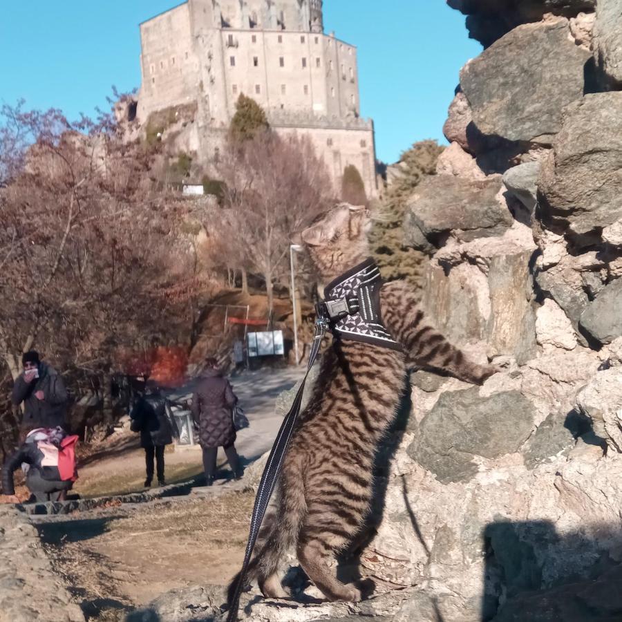 فيلا Casa Del Rustico, Indipendente Vista Sacra Con Dipinto Caprie المظهر الخارجي الصورة